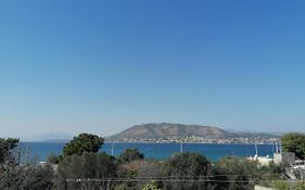 Welcome In Salamina
